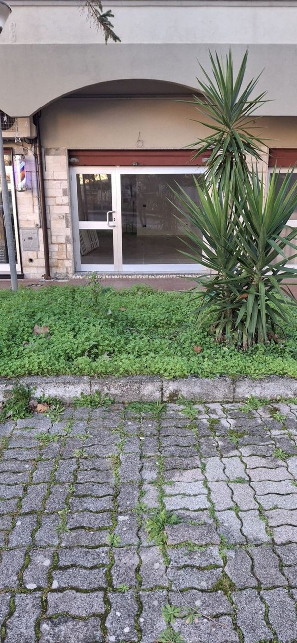 ufficio in vendita a Praia a Mare