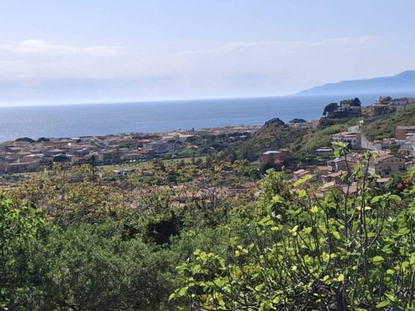 terreno agricolo in vendita a Praia a Mare in zona Viscigliosa
