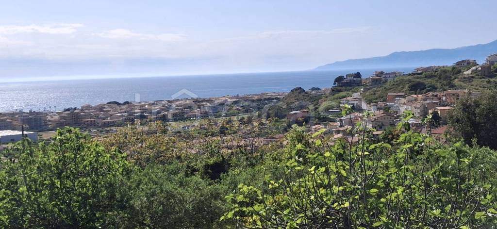 terreno agricolo in vendita a Praia a Mare in zona Viscigliosa