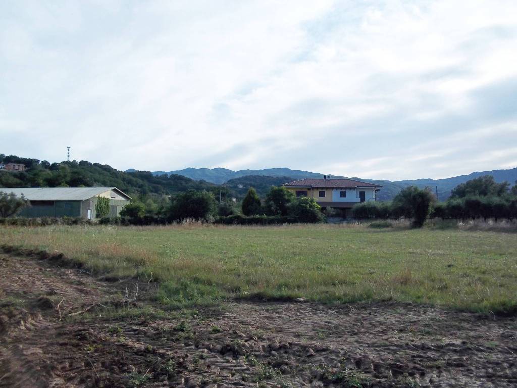 terreno agricolo in vendita a Rende in zona Quattromiglia