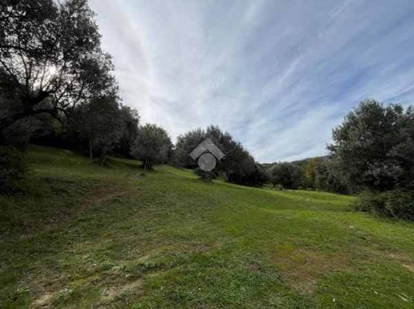 terreno agricolo in vendita a Rende