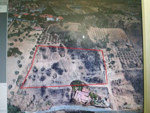terreno agricolo in vendita a Rende in zona Quattromiglia