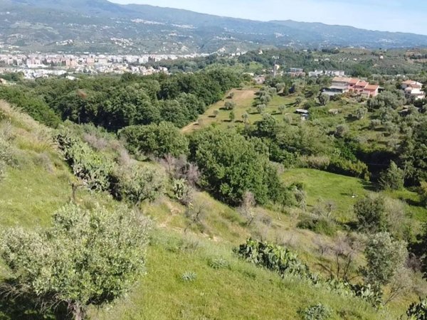 terreno agricolo in vendita a Rende in zona Quattromiglia