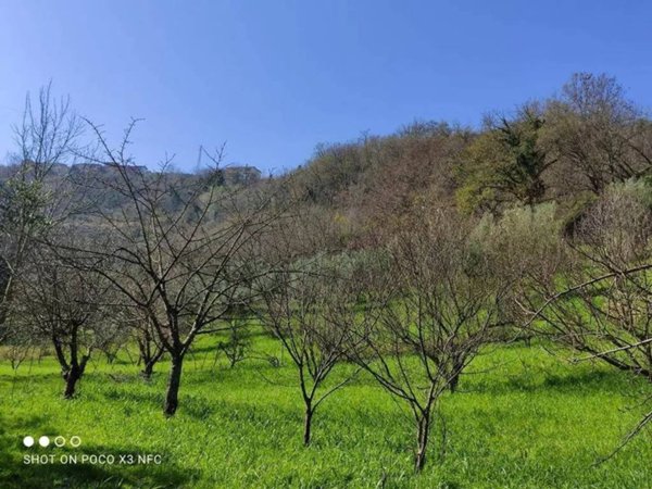terreno agricolo in vendita a Rende in zona Quattromiglia