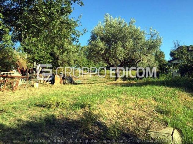 terreno agricolo in vendita a Rende