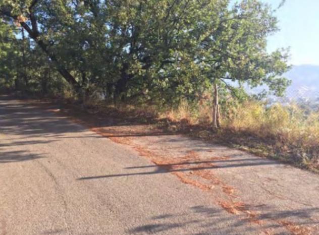 terreno agricolo in vendita a Rende in zona Quattromiglia