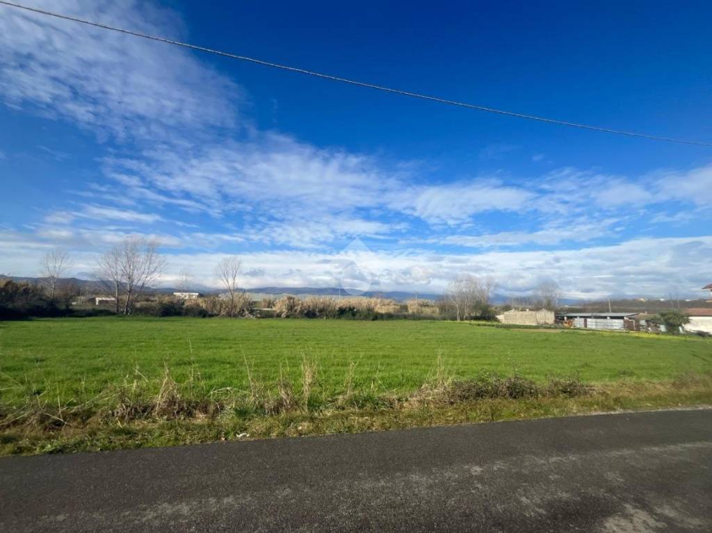 terreno agricolo in vendita a Rende in zona Quattromiglia