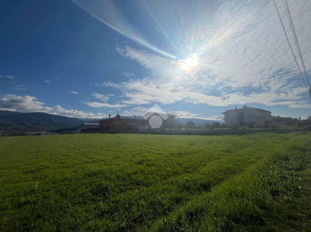 terreno agricolo in vendita a Rende in zona Quattromiglia