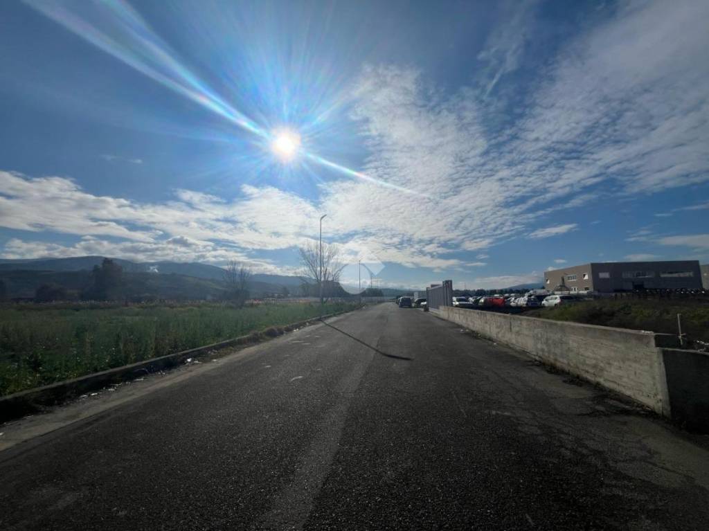 terreno agricolo in vendita a Rende in zona Quattromiglia