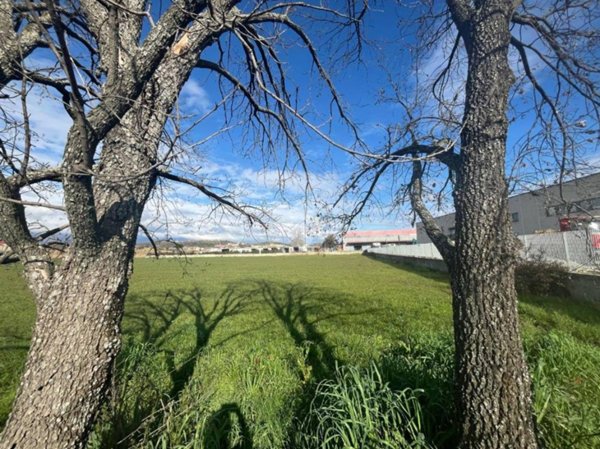 terreno agricolo in vendita a Rende in zona Quattromiglia