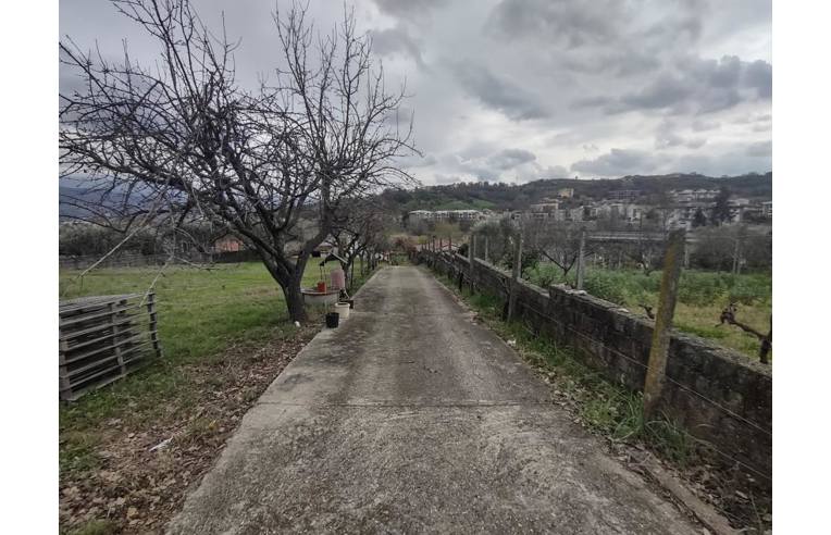 terreno agricolo in vendita a Rende in zona Surdo