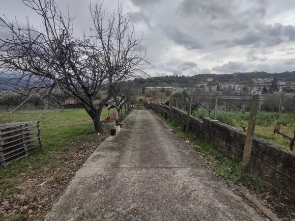 terreno agricolo in vendita a Rende in zona Surdo