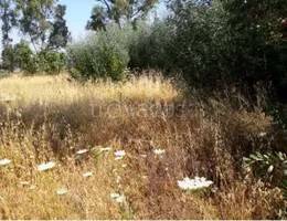 terreno agricolo in vendita a Rende