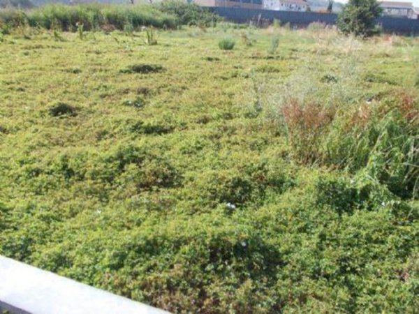 terreno edificabile in vendita a Rende