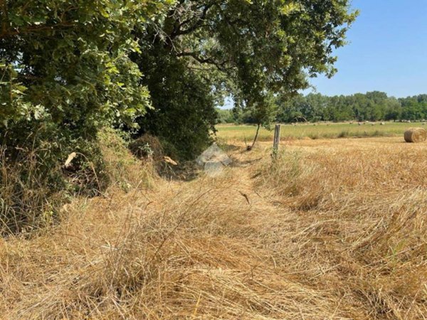terreno agricolo in vendita a Rende in zona Quattromiglia