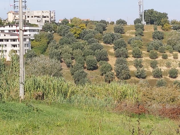 terreno agricolo in vendita a Rende in zona Arcavacata