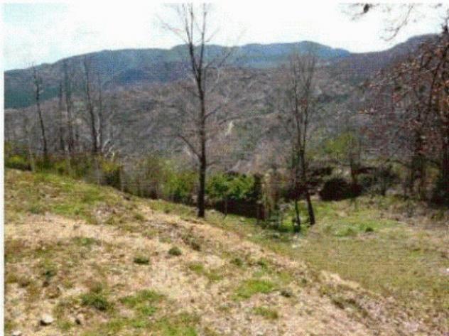 terreno agricolo in vendita a Rende