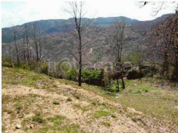 terreno agricolo in vendita a Rende