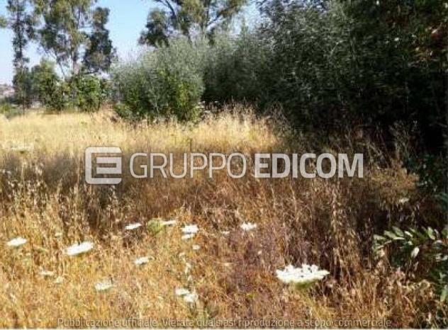 terreno agricolo in vendita a Rende