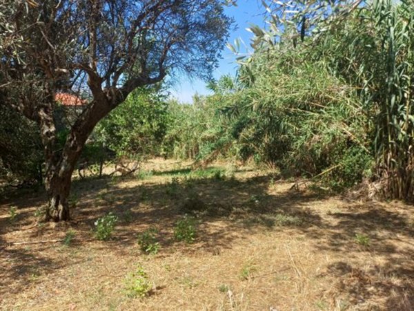 terreno agricolo in vendita a Rende