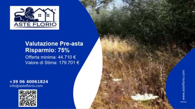 terreno agricolo in vendita a Rende