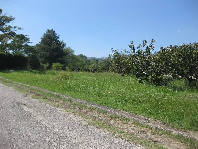 terreno agricolo in vendita a Rende in zona Quattromiglia