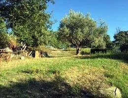terreno agricolo in vendita a Rende