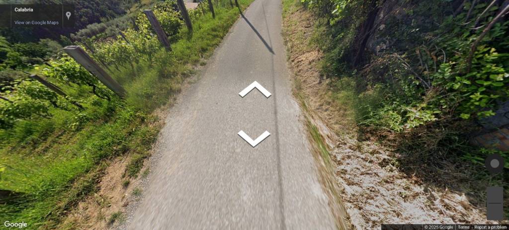 terreno agricolo in vendita a Rende