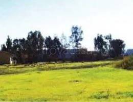 terreno agricolo in vendita a Rende in zona Quattromiglia