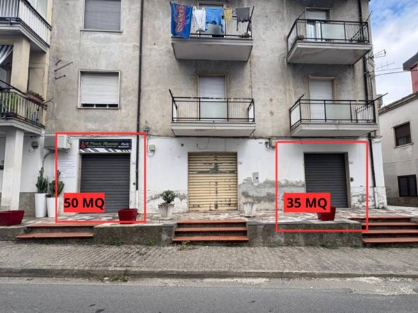 immagine annuncio 0 di 4