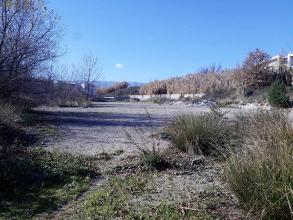 terreno agricolo in vendita a Rende in zona Quattromiglia