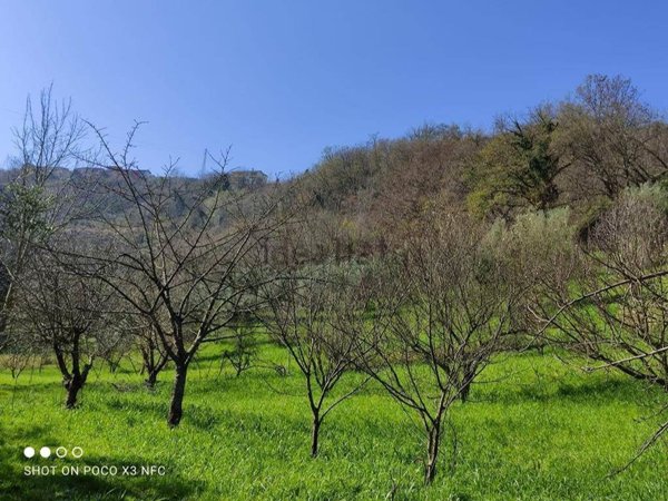terreno agricolo in vendita a Rende in zona Santo Stefano