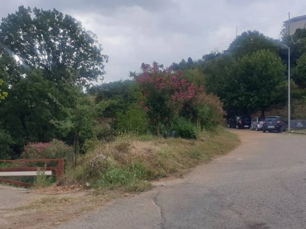 terreno agricolo in vendita a Rende in zona Roges