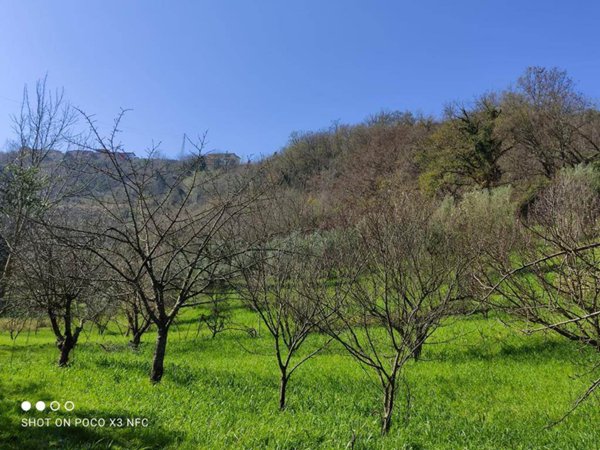 terreno agricolo in vendita a Rende in zona Santo Stefano