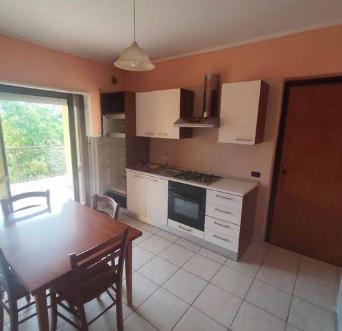 appartamento in vendita a Rende in zona Arcavacata