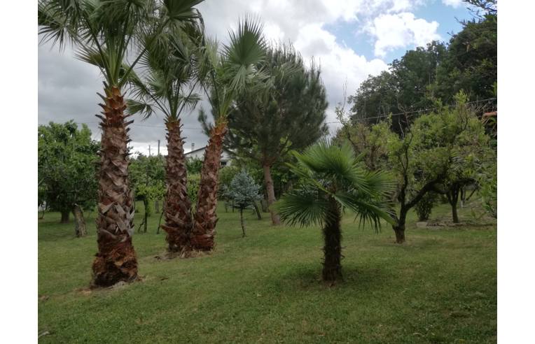 casa indipendente in vendita a Rende
