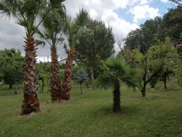 casa indipendente in vendita a Rende