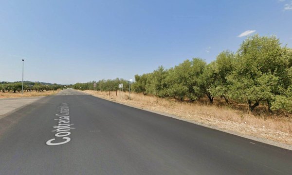 terreno agricolo in vendita a Rende in zona Quattromiglia