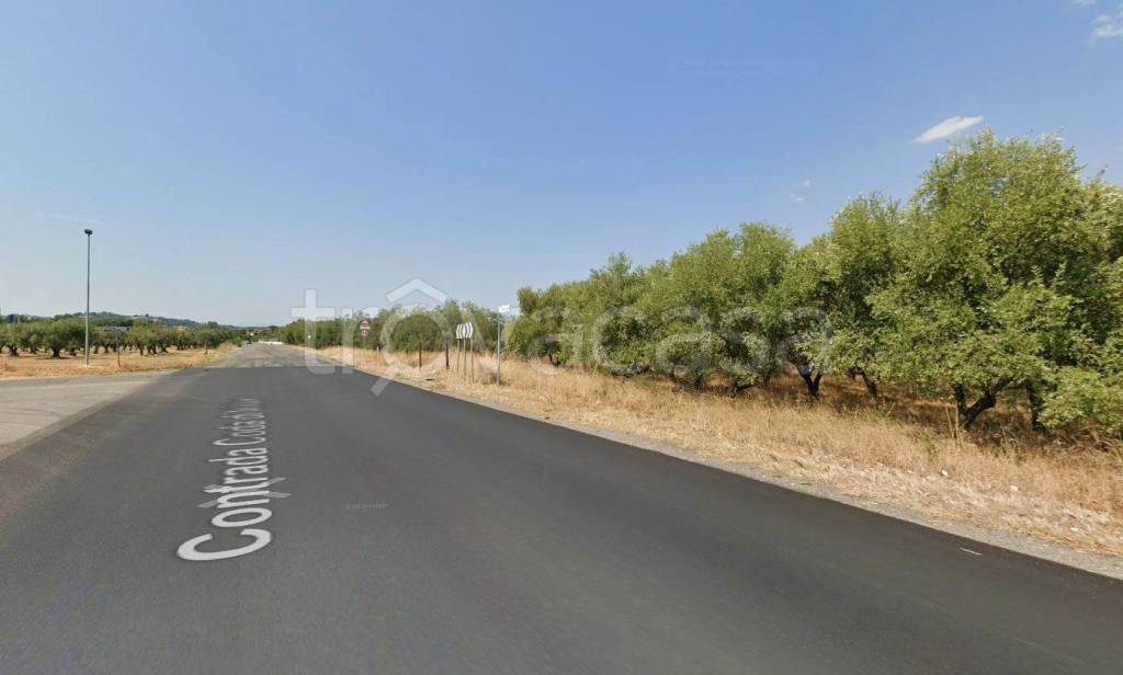 terreno agricolo in vendita a Rende in zona Quattromiglia