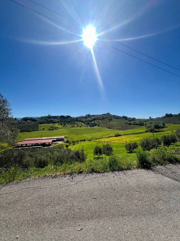 terreno agricolo in vendita a Rende