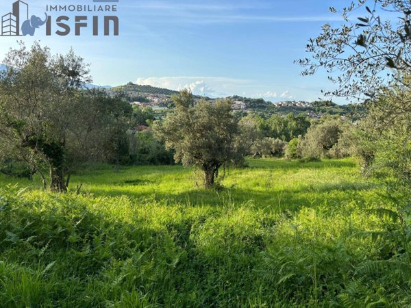 terreno agricolo in vendita a Rende