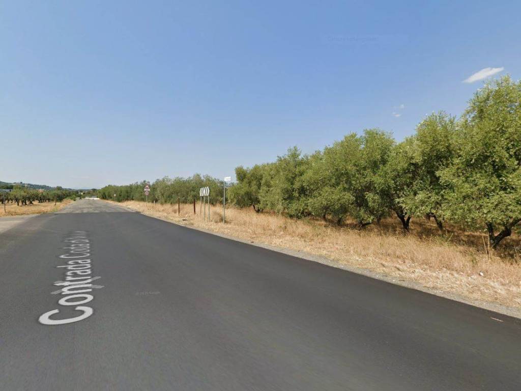 terreno agricolo in vendita a Rende in zona Quattromiglia