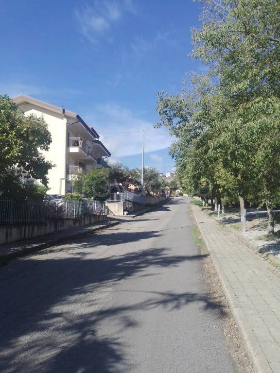 appartamento in vendita a Rende in zona Arcavacata