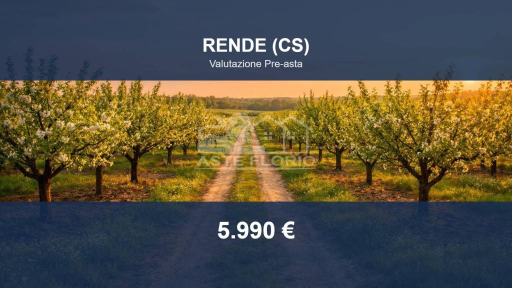terreno agricolo in vendita a Rende in zona Quattromiglia