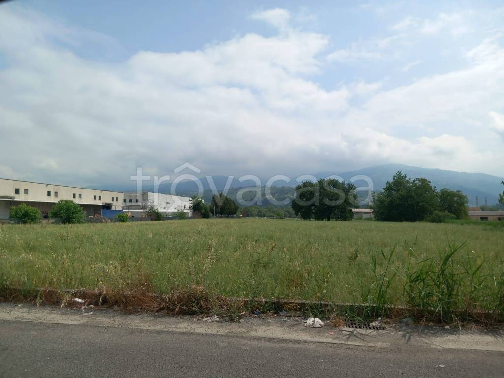 terreno agricolo in vendita a Rende in zona Quattromiglia