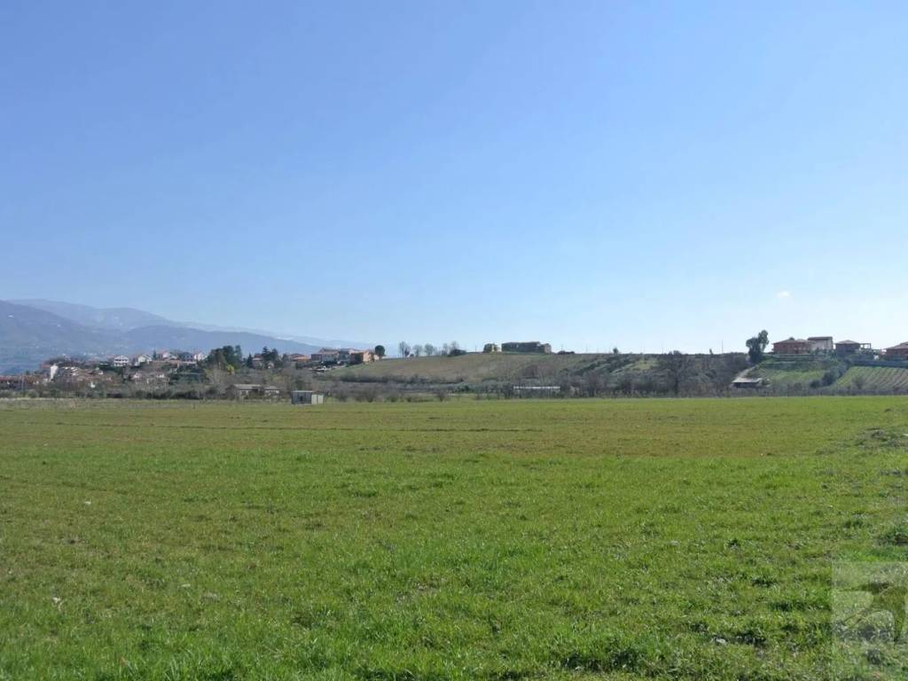 terreno agricolo in vendita a Rende in zona Quattromiglia