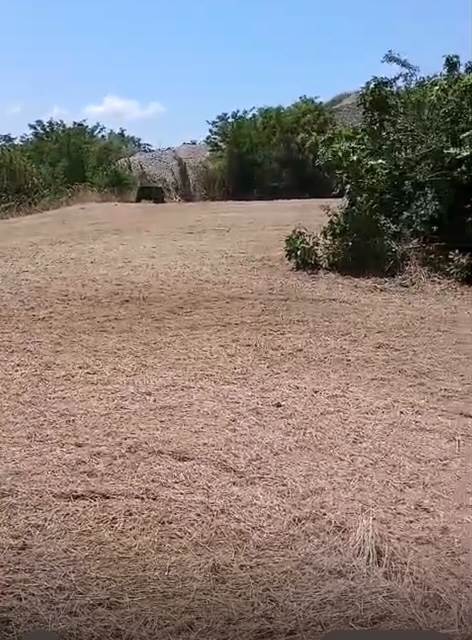 terreno agricolo in vendita a Rende in zona Quattromiglia
