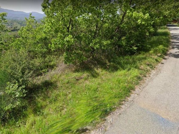 terreno agricolo in vendita a Rende