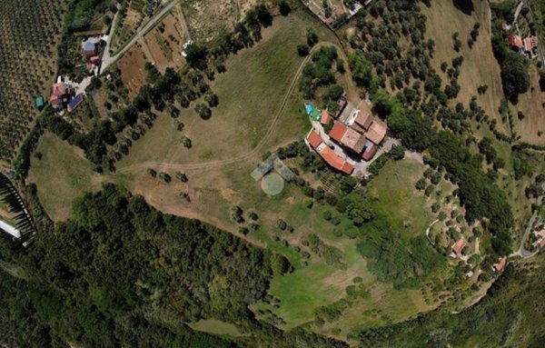 terreno agricolo in vendita a Rende in zona Surdo