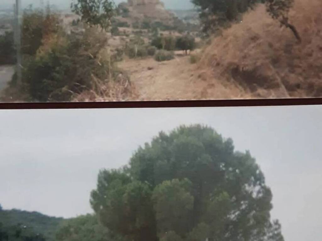 terreno agricolo in vendita a Rocca Imperiale